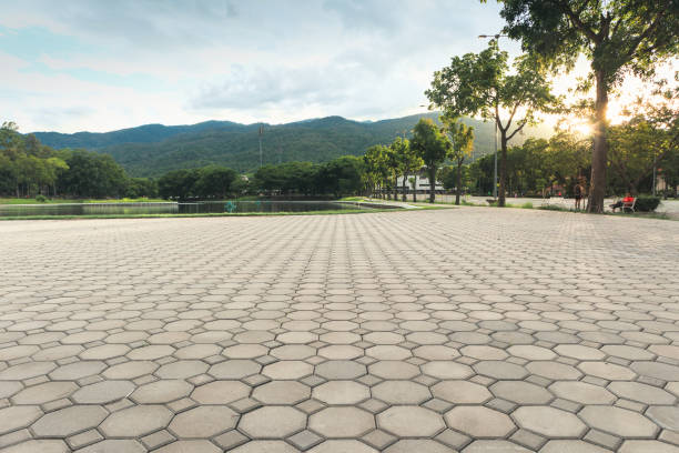 Best Professional Driveway Pavers  in Joplin, MO