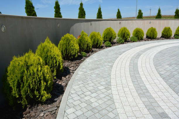 Best Decorative Driveway Pavers  in Joplin, MO